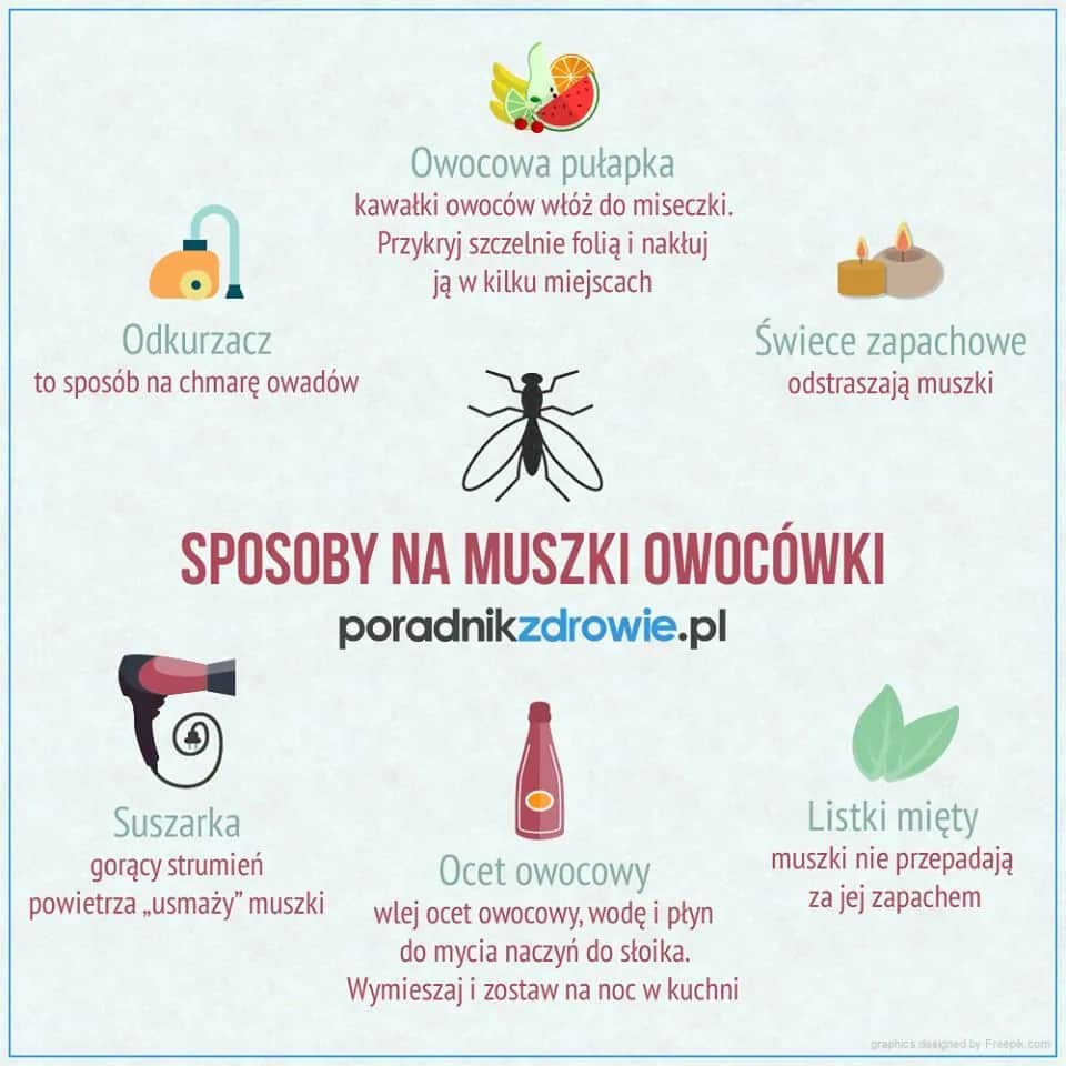 Skuteczne sposoby na pozbycie się muszek owocówek w kuchni